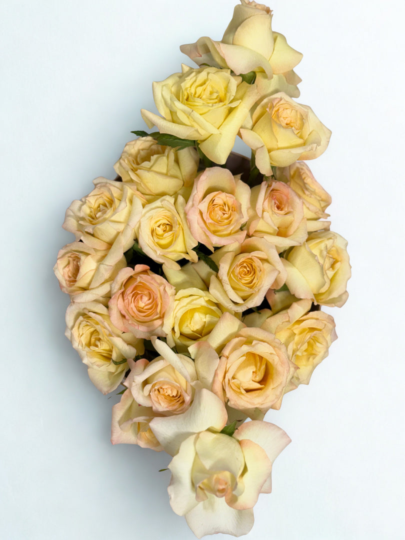 Champagne Dreams: Premium Rose Box Arrangement