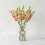 Load image into Gallery viewer, Soft Sunset Snapdragons Arrangement