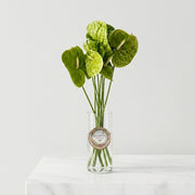 Tropical Green Anthurium Vase
