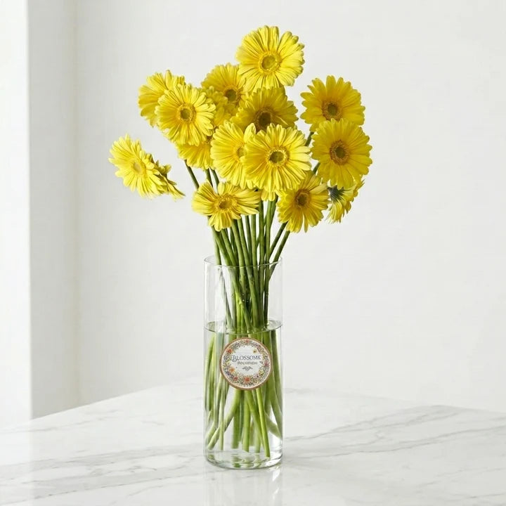Vase's